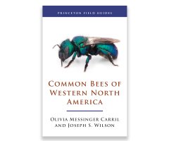 PRINCETON FIELD GUIDES COMMON BEES OF WESTERN NORTH AMERICA