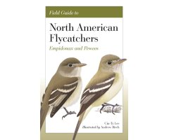 FIELD GUIDE TO NORTH AMERICAN FLYCATCHERS: EMPIDONAX AND PEWEES