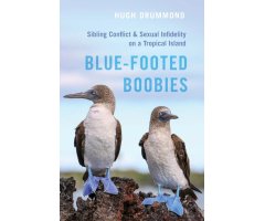 BLUE-FOOTED BOOBIES CONFLICT & SEXUAL INFIDELITY ON A TROPICAL ISLAND
