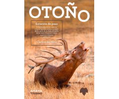 OTOÑO. ESTACIÓN DE PASO