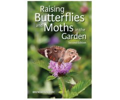 RAISING BUTTERFLIES AND MOTHS IN THE GARDEN