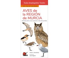 AVES DE LA REGIÓN DE MURCIA. INTRODUCCIÓN A LAS ESPECIES MÁS FRECUENTES. GUÍAS DESPLEGABLES TUNDRA