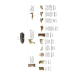 BIRD PELLETS. A COMPLETE PHOTOGRAPHIC GUIDE_1