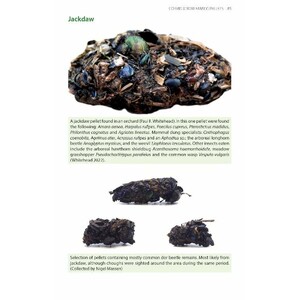 BIRD PELLETS. A COMPLETE PHOTOGRAPHIC GUIDE 5
