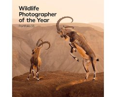 WILDLIFE PHOTOGRAPHER OF THE YEAR. PORTFOLIO 33