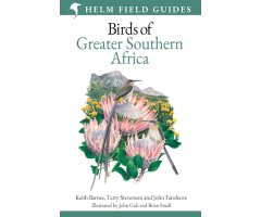 FIELD GUIDE TO BIRDS OF GREATER SOUTHERN AFRICA