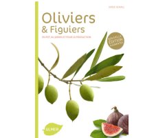 OLIVIERS ET FIGUIERS. EN POT, EN JARDIN ET POUR LA PRODUCTION