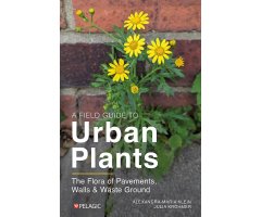 A FIELD GUIDE TO URBAN PLANTS. THE FLORA OF PAVEMENTS, WALLS AND WASTE GROUND