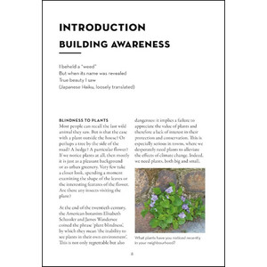 A FIELD GUIDE TO URBAN PLANTS. COMMON SPECIES OF PAVEMENTS, WALLS & WASTE GROUND_1