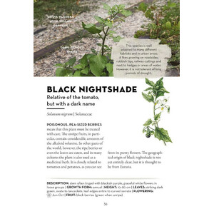 A FIELD GUIDE TO URBAN PLANTS. COMMON SPECIES OF PAVEMENTS, WALLS & WASTE GROUND 5