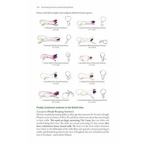 FRUSTRATING FLOWERS AND PUZZLING PLANTS. IDENTIFYING THE DIFFICULT SPECIES OF BRITAIN AND IRELAND_1