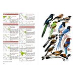 BIRDS OF SOUTH ASIA. THE RIPLEY GUIDE VOLUMEN 1 FIELD GUIDE 4