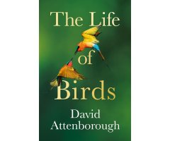 THE LIFE OF BIRDS