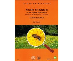ABEILLES DE BELGIQUE ET DES REGIONS LIMITROPHIES (INSECTA: HYMENOPTERA: APOIDEA) :HALICTIDAE