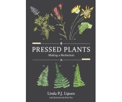 PRESSED PLANTS: MAKING A HERBARIUM