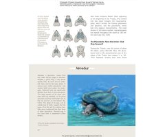 OCEAN LIFE IN THE TIME OF THE DINOSAURS 6