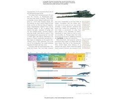 OCEAN LIFE IN THE TIME OF THE DINOSAURS 7