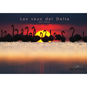 LES VEUS DEL DELTA