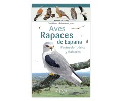 AVES RAPACES DE ESPAÑA, PENÍNSULA IBÉRICA Y BALEARES. MINIGUÍA DE CAMPO                                                                               