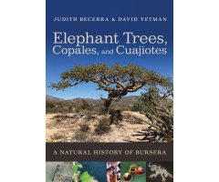 ELEPHANT TREES, COPALES, AND CUAJIOTES. A NATURAL HISTORY OF BURSERA