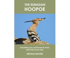 THE EURASIAN HOOPOE. EVERYTHING YOU COULD WANT TO KNOW ABOUT THIS ICONIC BIRD