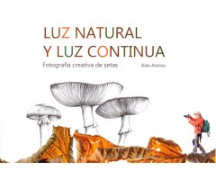 LUZ NATURAL Y LUZ CONTINUA. FOTOGRAFÍA CREATIVA DE SETAS