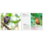PORTFOLIO 1- FOTOGRAFÍAS E HISTORIAS DE AVES EXTRAORDINARIAS_1