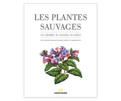 LES PLANTES SAUVAGES. LES IDENTIFIER, LES CONNAÎTRE, LES UTILISER