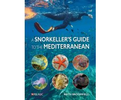 A SNORKELLER\'S GUIDE TO THE MEDITERRANEAN. A PHOTOGRAPHIC ID GUIDE TO THE MOST COMMONLY ENCOUNTERED MARINE SPECIES