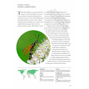 WASPS OF THE WORLD. A GUIDE TO EVERY FAMILY 6