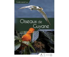 OISEAUX DE GUYANE, MANUEL D'IDENTIFICATION
