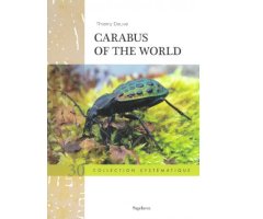 CARABUS OF THE WORLD