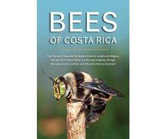 BEES OF COSTA RICA