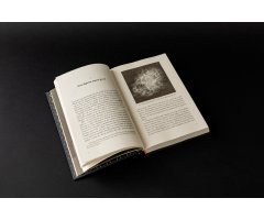 BREVE HISTORIA DE LOS AGUJEROS NEGROS. ¿QUÉ OCULTAN LOS OBJETOS MÁS MISTERIOSOS DEL UNIVERSO? 2