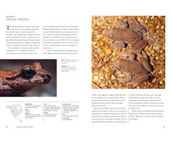 FROGS OF THE WORLD. A GUIDE TO EVERY FAMILY 3