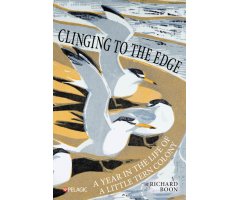 CLINGING TO THE EDGE. A YEAR IN THE LIFE OF A LITTLE TERN COLONY