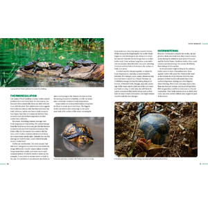 TURTLES OF NORTH AMERICA. AN ILLUSTRATED FIELD GUIDE TO THE TURTLES OF THE CONTINENTAL UNITED STATES AND CANADA 3