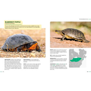 TURTLES OF NORTH AMERICA. AN ILLUSTRATED FIELD GUIDE TO THE TURTLES OF THE CONTINENTAL UNITED STATES AND CANADA 4