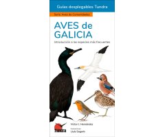 AVES DE GALICIA. INTRODUCCIÓN A LAS ESPECIES MÁS FRECUENTES. GUÍAS DESPLEGABLES TUNDRA
