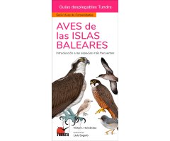 AVES DE LAS ISLAS BALEARES. INTRODUCCIÓN A LAS ESPECIES MÁS FRECUENTES. GUÍAS DESPLEGABLES TUNDRA