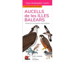 AUCELLS DE LES ILLES BALEARS. INTRODUCCIÓ A LES ESPÈCIES MÉS FREQÜENTS. GUIES DESPLEGABLES TUNDRA