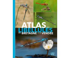 ATLAS DES LIBELLULES DE LA BRETAGNE À LA VENDÉ