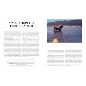 WILD LIVES. THE WORLD'S MOST EXTRAORDINARY WILDLIFE 3