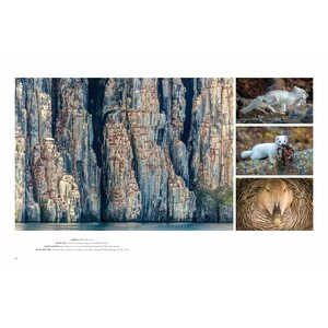 WILD LIVES. THE WORLD'S MOST EXTRAORDINARY WILDLIFE 4