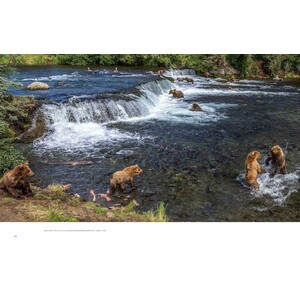 WILD LIVES. THE WORLD'S MOST EXTRAORDINARY WILDLIFE 7