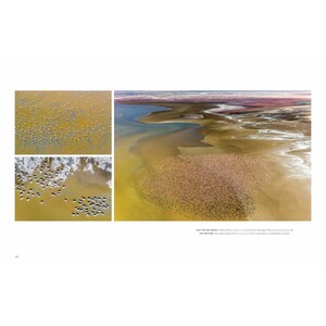 WILD LIVES. THE WORLD'S MOST EXTRAORDINARY WILDLIFE 8