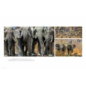 WILD LIVES. THE WORLD'S MOST EXTRAORDINARY WILDLIFE 9