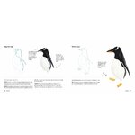 ANIMALIA TRAZO A TRAZO 4