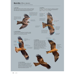 ID HANDBOOK OF EUROPEAN BIRDS (2-VOLUME SET)_1