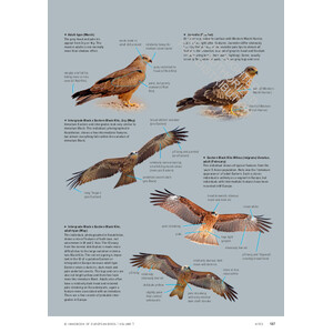 ID HANDBOOK OF EUROPEAN BIRDS (2-VOLUME SET) 3